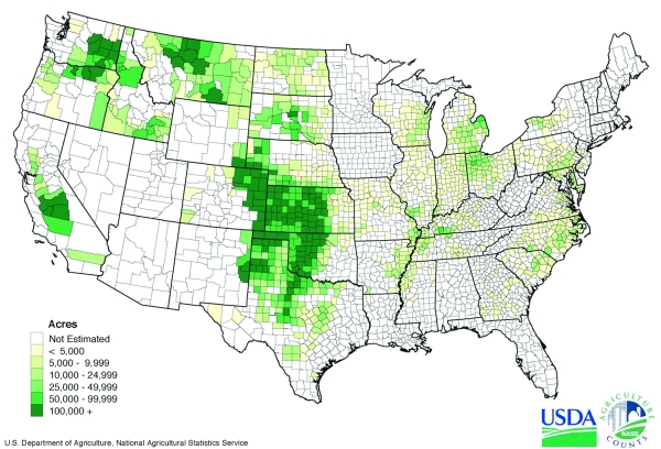 The main winter wheat growing areas of California and the plains are smack in the middle of severe drought areas